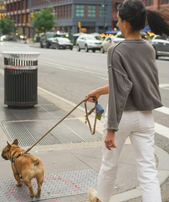 狗主人破口大骂:“我每日都遛猫遛狗,为何狗狗還是撕家? 狗主人破口大骂:“我每日都遛猫遛狗,为何狗狗還是撕家?