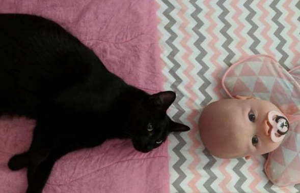 监视器里拍到史上最萌画面 黑猫时刻陪伴妹妹