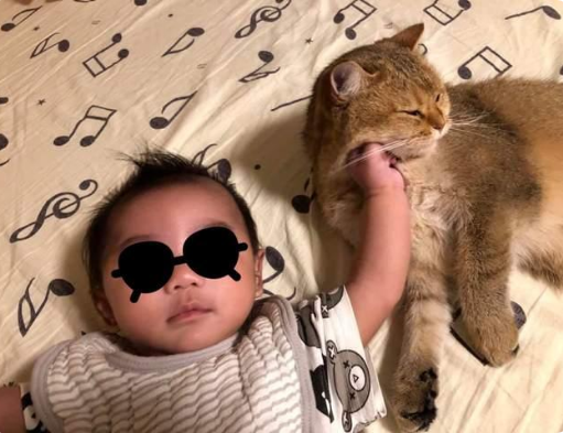 猫咪似乎不喜欢新生宝宝,但宝宝大哭时它的行为太暖心! 猫咪似乎不喜欢新生宝宝,但宝宝大哭时它的行为太暖心!
