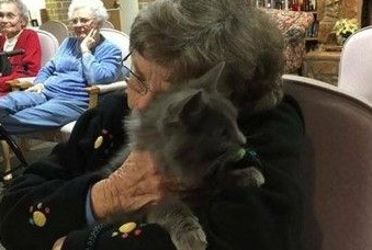 超暖心互动 猫咪拜访安养院散播最萌疗愈