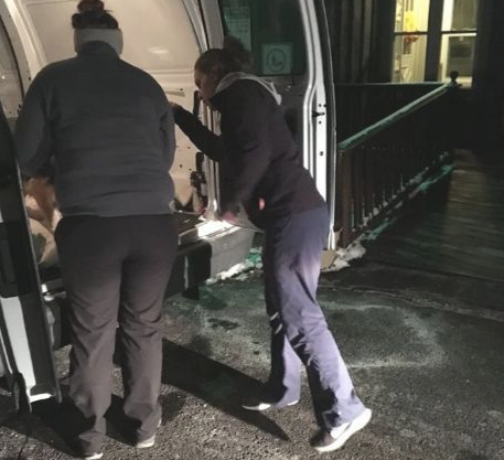 德牧被主人家拴在房外将近一个月，竟饿到咬下自身的腿果腹！