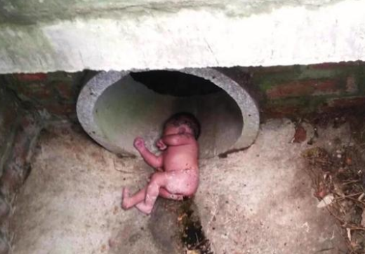 宠物狗拯救了新生儿的生命,之后奇迹接连不断的发生 宠物狗拯救了新生儿的生命,之后奇迹接连不断的发生