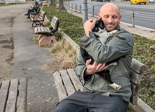 这对猫咪也太治愈了吧 让孤单摄影师流连忘返