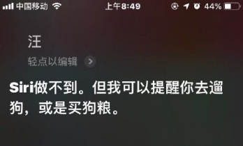 让Siri叫猫咪?怎么会有这样的操作 真的是奇葩网友多 让Siri叫猫咪?怎么会有这样的操作 真的是奇葩网友多