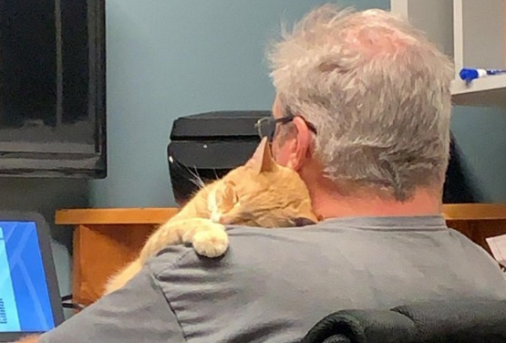 老爸强硬拒绝养猫 十个月后却，你有这样的老爸吗？