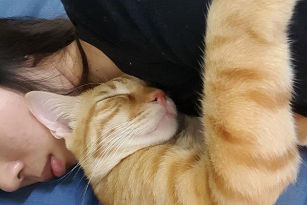 主人出门2天，猫咪紧抱着她不肯放！橘猫都这么黏人吗？