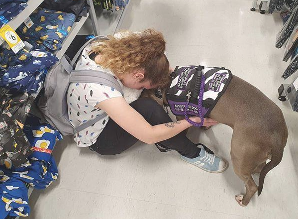 被比特犬持续拨拉,主人疑虑中叫了救护车,意外事故捡回来一条命 被比特犬持续拨拉,主人疑虑中叫了救护车,意外事故捡回来一条命