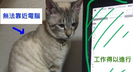 猫奴被主子扰乱工作出大招 成功让猫咪气得牙痒痒 猫奴被主子扰乱工作出大招 成功让猫咪气得牙痒痒