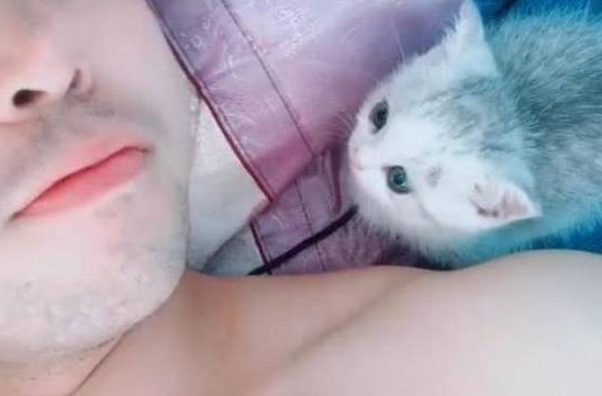 男子睡觉时感觉身边有东西,睁眼后笑出声,猫:别睡了,起来玩