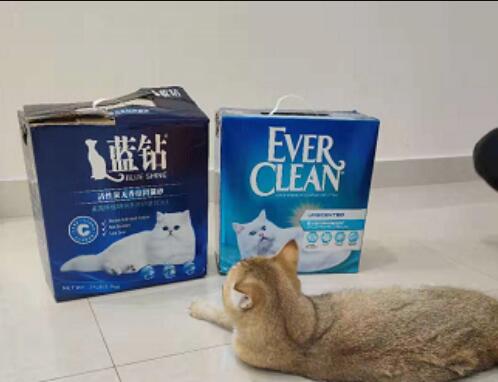 everclean蓝钻猫砂闲鱼上是真的吗