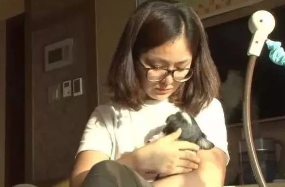 狗狗被遗弃，独守旧宅6年，主人家回家却被遗弃