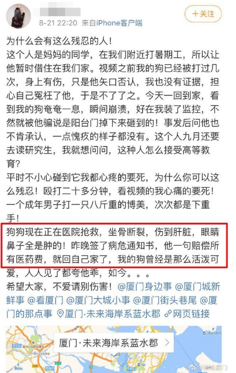 女子自称北大博士后，爆支持虐狗惊人言论：“狗命能值几个钱？”