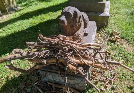 公墓最出名的反而是狗狗，暖心路人在它墓前堆满树枝