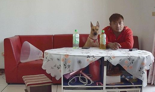见爱犬豪迈睡姿躺在沙发 忍不住直呼想回家一起躺! 见爱犬豪迈睡姿躺在沙发 忍不住直呼想回家一起躺!