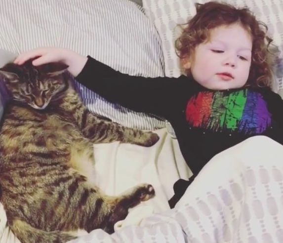 在妈妈的指导之下 小女孩超有慧根成为称职猫奴 在妈妈的指导之下 小女孩超有慧根成为称职猫奴