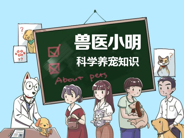 盆友养了一只金毛狗狗，拉粑粑时总盯着他看：因为我没在外边有其他狗啊