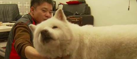 狗狗14年未见主人重聚的画面让人泪崩 狗狗14年未见主人重聚的画面让人泪崩