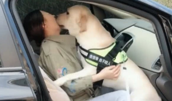 女子蜜月旅行把狗狗留到老家,一月完去接狗,它的反映让她流泪了 女子蜜月旅行把狗狗留到老家,一月完去接狗,它的反映让她流泪了