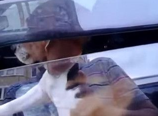 被主人留在车上 狗狗狂按喇叭抗议 被主人留在车上 狗狗狂按喇叭抗议