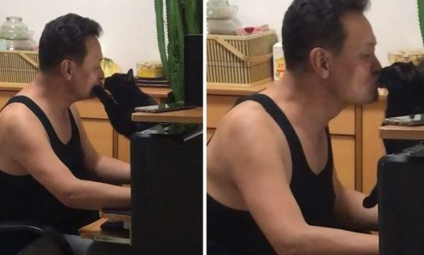 千万别小看毛孩子的魔力！说不养猫的爸爸成忠实猫奴