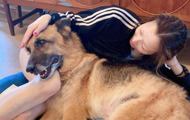 郑秀文爱犬Lucky离世，她在狗狗晚年做的事，很多人都做不到