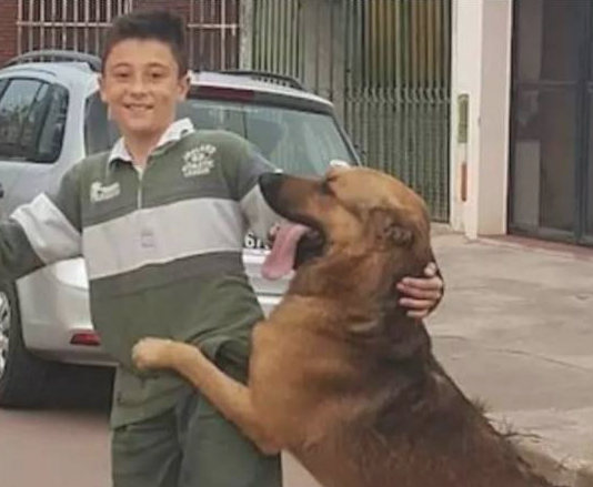 狗狗走丢8月了,小主人每日坚持不懈找寻,总算...