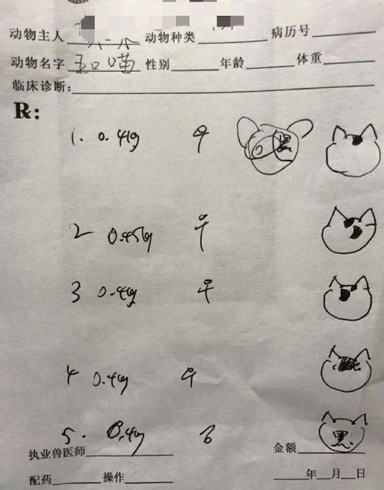 带5只兄弟猫去看病,医生很巧妙地分清了它们,别说还挺形象的! 带5只兄弟猫去看病,医生很巧妙地分清了它们,别说还挺形象的!