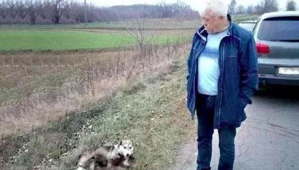 狗狗因误咬了人，就被拴在汽车后拖行数公里，停住时已血肉模糊了