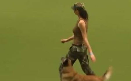 一只军犬表演走军步，下一秒搞笑的一幕发生，走着走着就偏了！ 