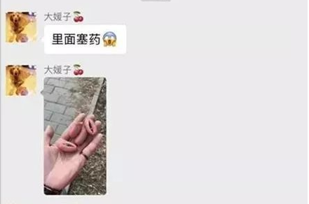 投毒害狗还想脱身?我们不答应,法律更不答应!