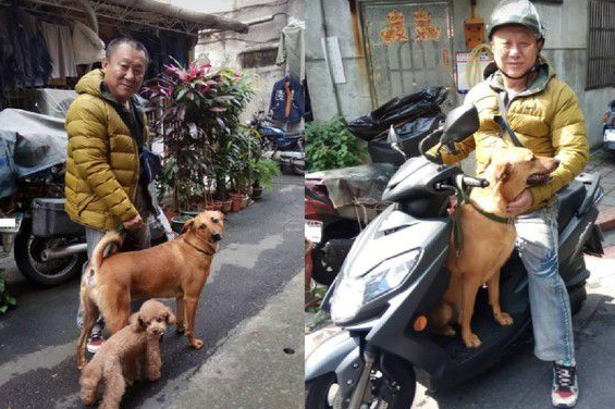 阿公给金孙下厨煮丰盛早午餐 让饲主吃醋无奈 阿公给金孙下厨煮丰盛早午餐 让饲主吃醋无奈