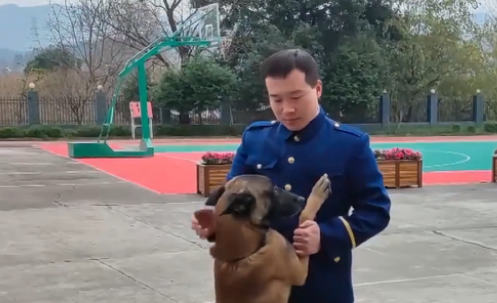 领犬员要走了,看到狗狗狂追1000多米也不停下:怕舍不得