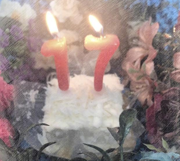 张馨予给狗狗过17岁生日，网友：背后的故事太感人了！