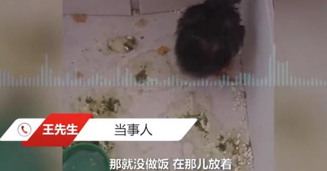 江苏男子网购活珠子,因天气炎热竟孵化出小鸡 网友:太幸运了! 江苏男子网购活珠子,因天气炎热竟孵化出小鸡 网友:太幸运了!