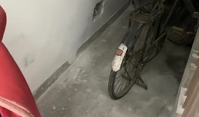 以草为家的流浪狗,当家被大雨摧毁时,它只能蜷缩在雨中瑟瑟发抖 以草为家的流浪狗,当家被大雨摧毁时,它只能蜷缩在雨中瑟瑟发抖