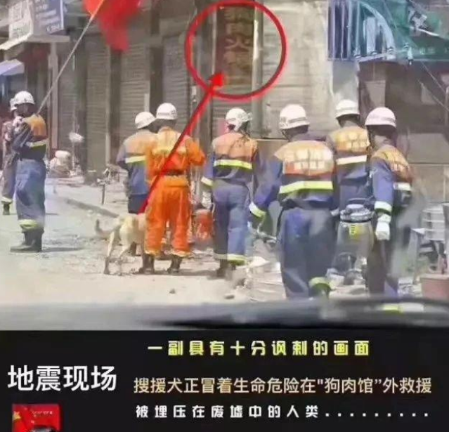 福建酒店坍塌,搜救犬彻夜救援:我们不传播病毒,我们只拼命救人 福建酒店坍塌,搜救犬彻夜救援:我们不传播病毒,我们只拼命救人