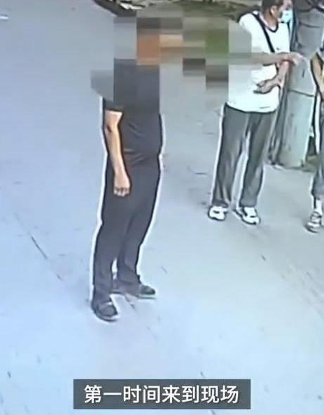 高空坠猫砸中路过老人，金毛犬拦截涉事猫竟成亮点