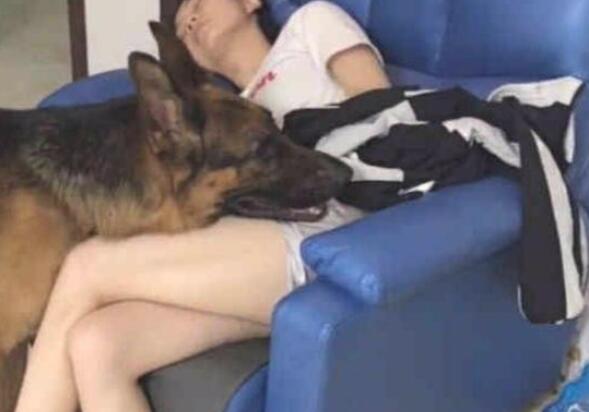 女主人在布艺沙发上入睡后,宠物狗渐渐地靠近