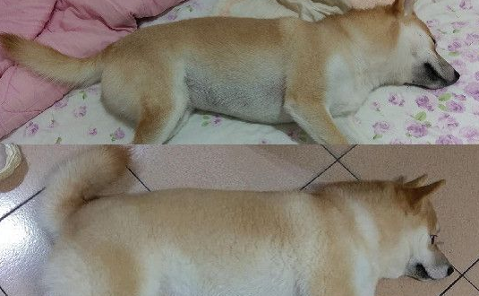 两个月不到增加2公斤 没想到竟长出游泳圈