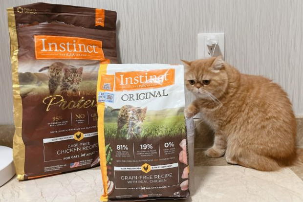 Instinct生鲜本能怎么样?来看一下开袋分享吧! Instinct生鲜本能怎么样?来看一下开袋分享吧!
