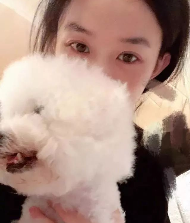 赵丽颖晒晒1组与狗狗的自拍图，怀里家犬裸妆出境超美！