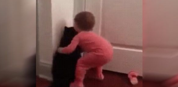 太矮了构不到门把 猫咪成功帮小主人开门 太矮了构不到门把 猫咪成功帮小主人开门