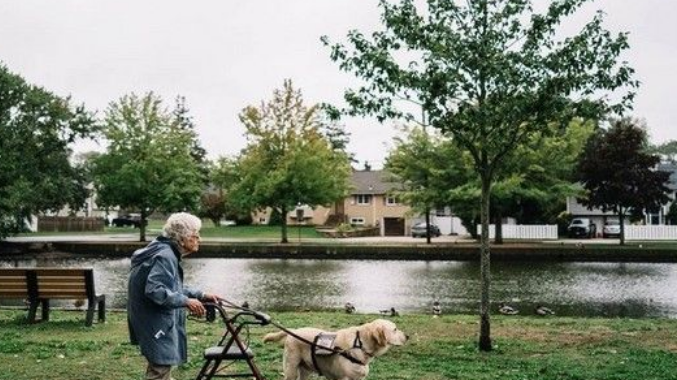 原以为人生将近 92岁阿婆惊喜相遇狗儿子