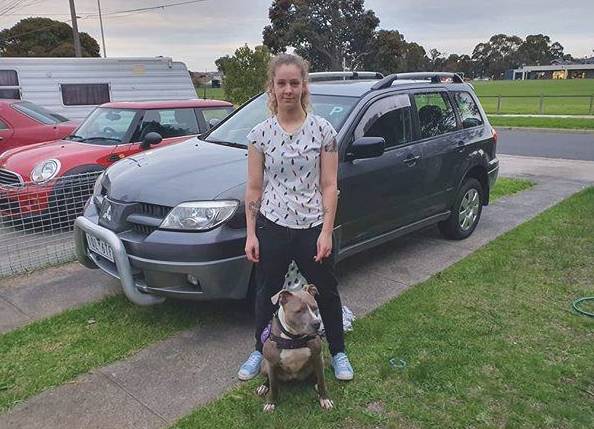 被比特犬持续拨拉,主人疑虑中叫了救护车,意外事故捡回来一条命 被比特犬持续拨拉,主人疑虑中叫了救护车,意外事故捡回来一条命