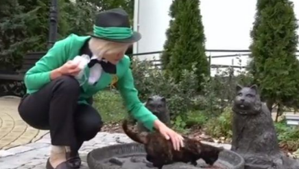 超梦幻职缺 负责照顾流浪猫的猫队长 超梦幻职缺 负责照顾流浪猫的猫队长