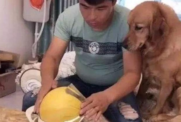 小伙想切黄西瓜金毛急忙拉住,他一意孤行,结果悲剧发生
