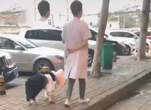 狗狗的腿碰伤加上了纱布，小伙还带著它出去溜达，狗：我好难！