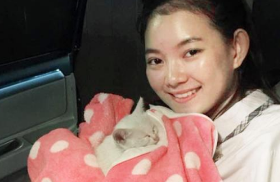 善良女孩不忍小猫流浪街头，把它带回家，这是她收编的第13只猫
