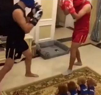 小贵宾看拳击赛心疼主人被打 一起加入战局帮助主人 小贵宾看拳击赛心疼主人被打 一起加入战局帮助主人