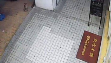 浪浪臭脸坐门口堵人讨罐 小V脸逐渐变成馒头脸
